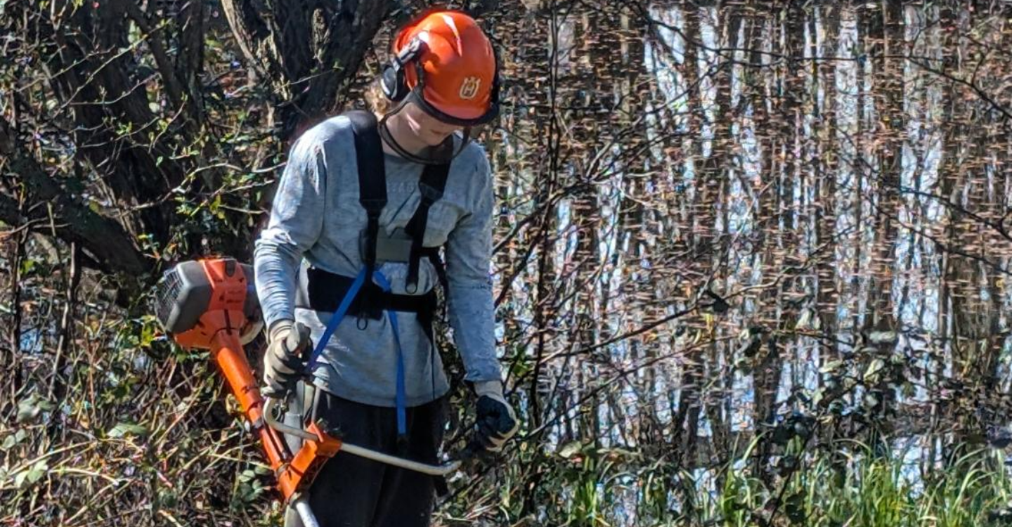 From Woodland Canopy To Hollyrood Canapés CARA (2) (1)