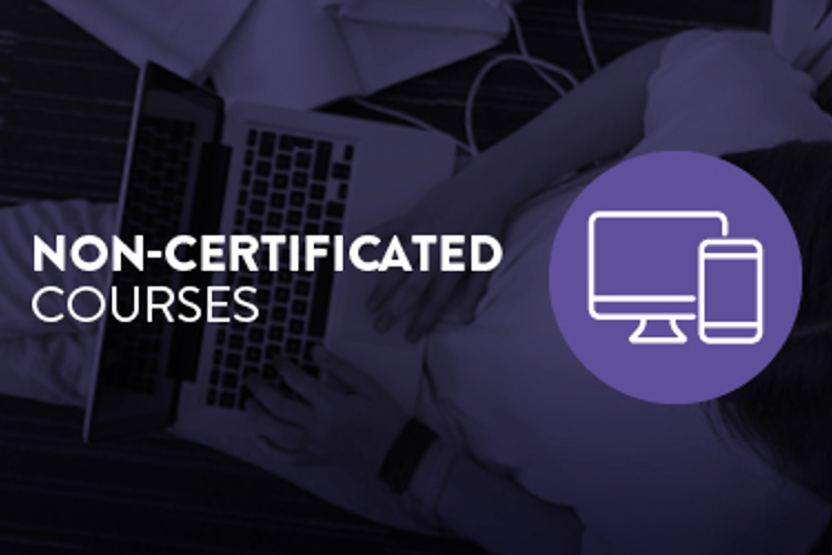 CM1653 Online Courses Campaign Icons Non Cert06 420 X 250