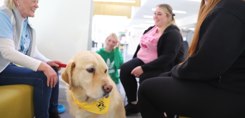 Tesco voting now open to support ‘Paws Against Stress’ at Alloa Campus