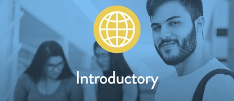 Introductory