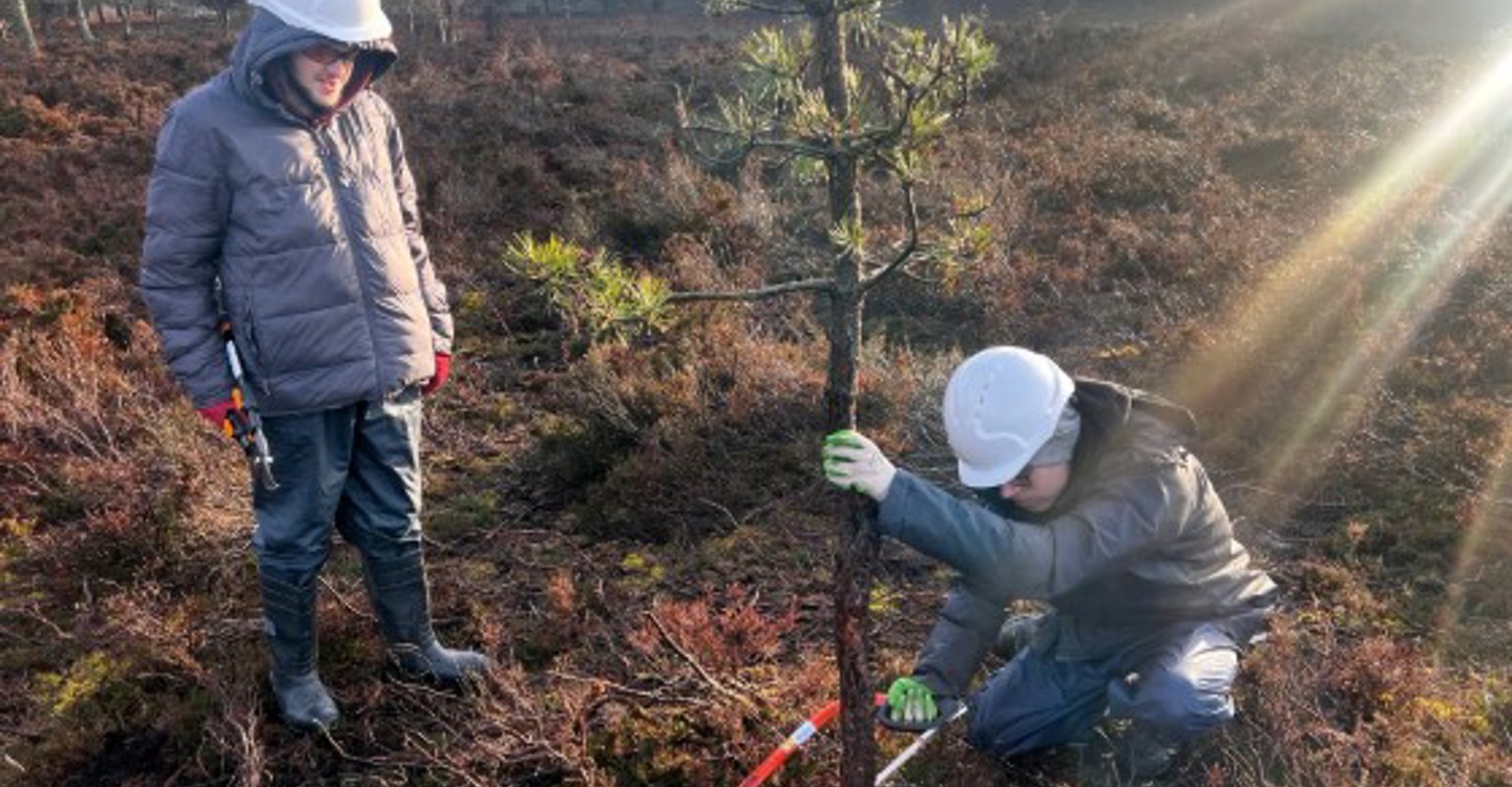 Rural Skills Students On Site 3 (1)