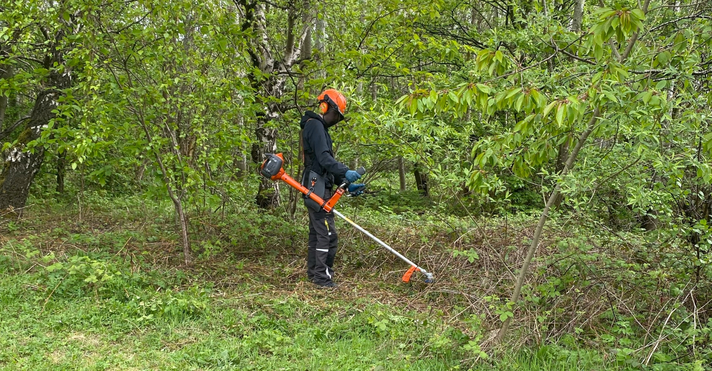 From Woodland Canopy To Hollyrood Canapés CARA (2)