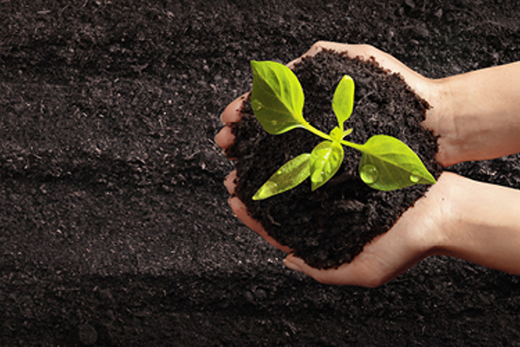 CM1744 Online Courses Signpost Graphics For Website 03 Sustainability420 X 250
