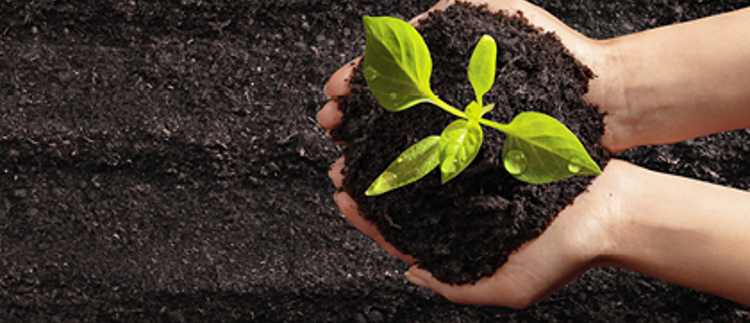 CM1744 Online Courses Signpost Graphics For Website 03 Sustainability420 X 250