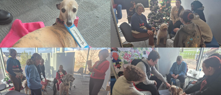 College awarded Tesco’s Stronger Starts funding