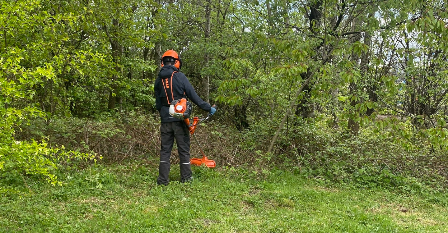 From Woodland Canopy To Hollyrood Canapés CARA (4)